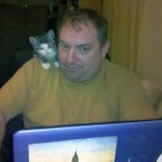 kitten searching the internet